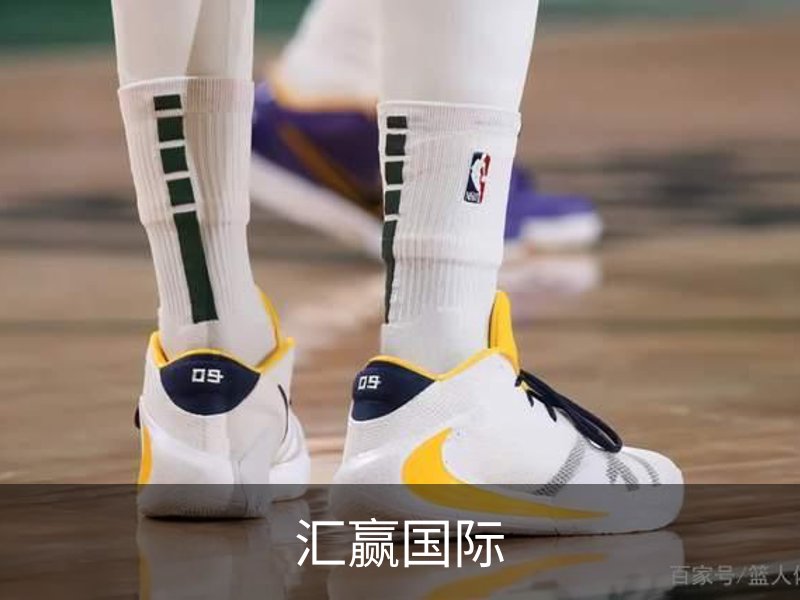 汇赢国际介绍